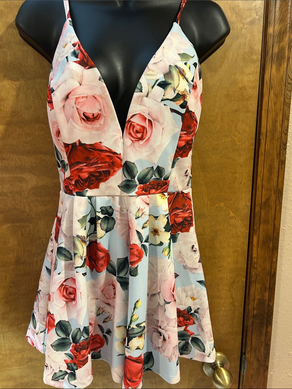 Floral V-Neck Fit & Flare Dress in Red & Pink Roses - Homecoming